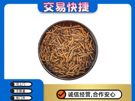 罗庄区高价回收散虫草